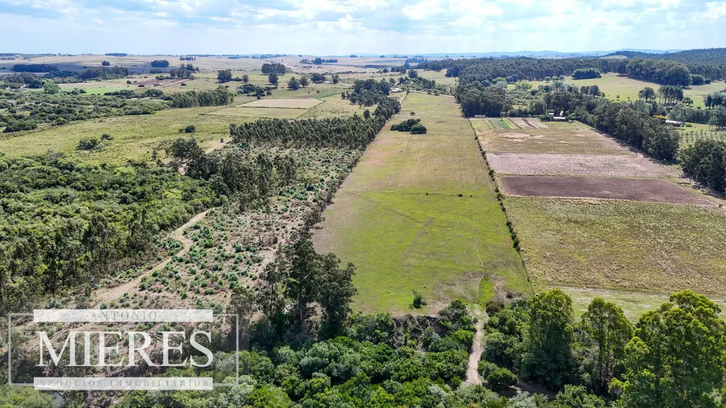 Chacra en venta de 5,6 ha con costa al arroyo José Ignacio — foto 14