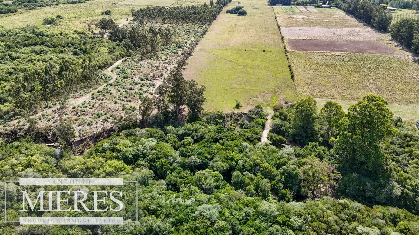 Chacra en venta de 5,6 ha con costa al arroyo José Ignacio — foto 15