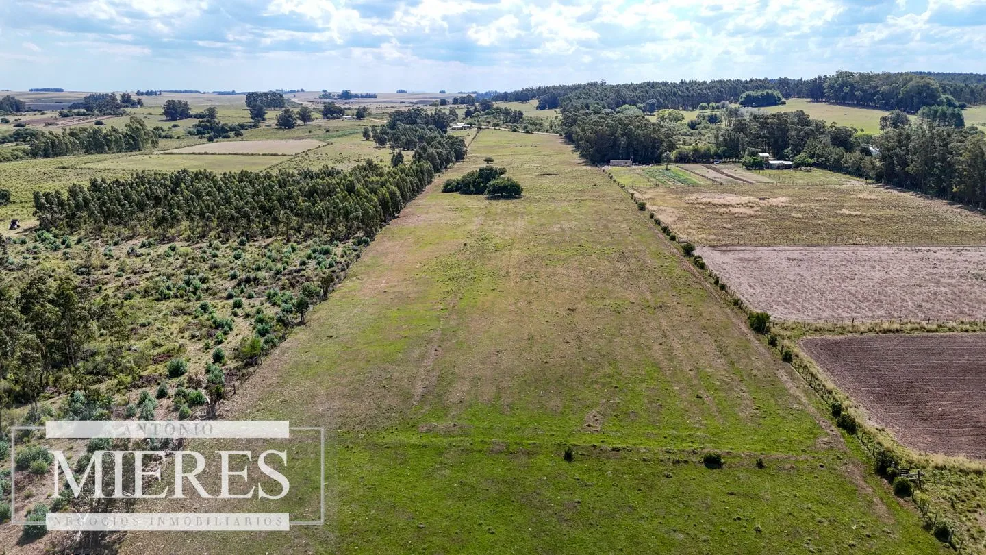 Chacra en venta de 5,6 ha con costa al arroyo José Ignacio — foto 16