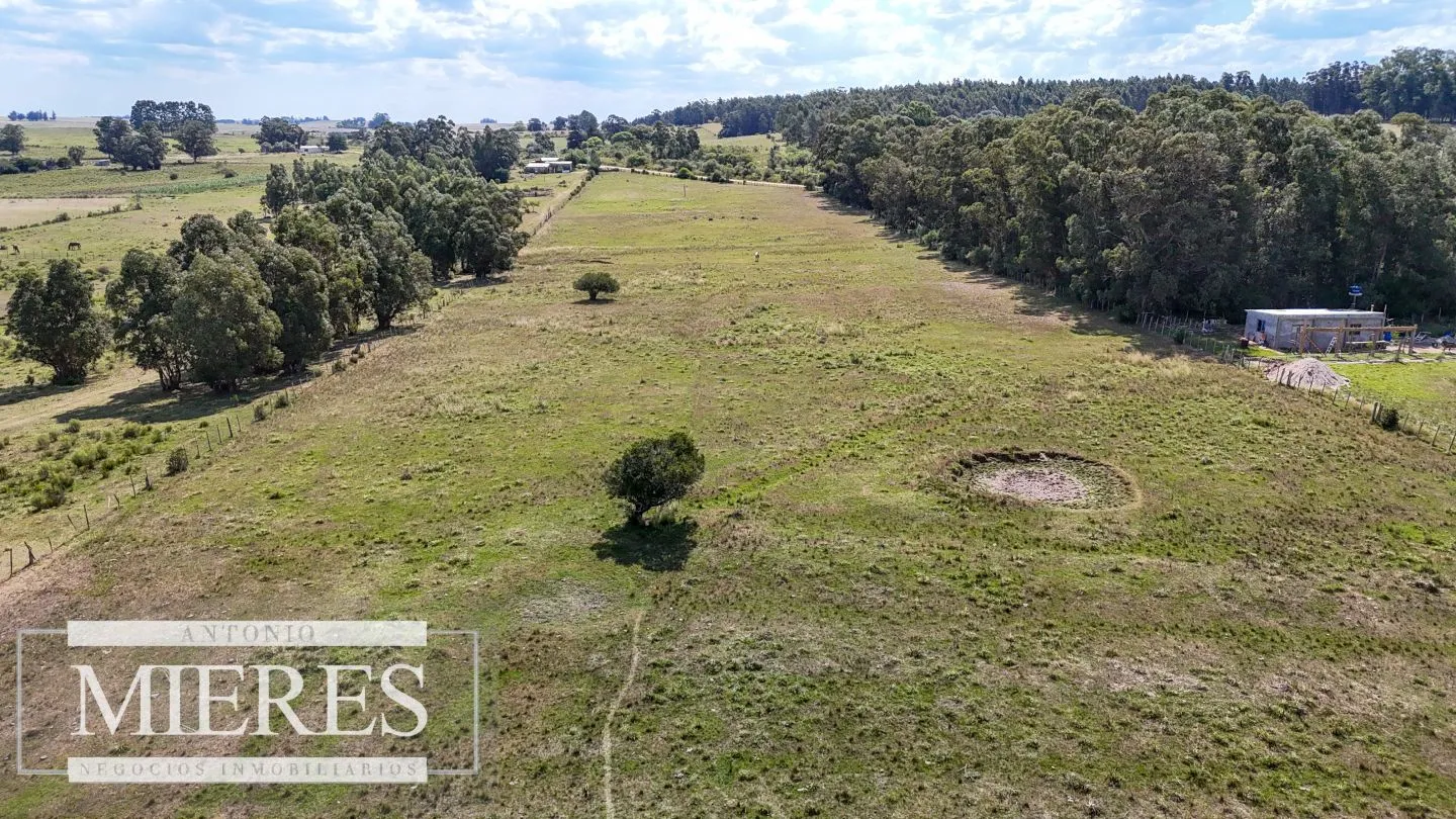 Chacra en venta de 5,6 ha con costa al arroyo José Ignacio — foto 18