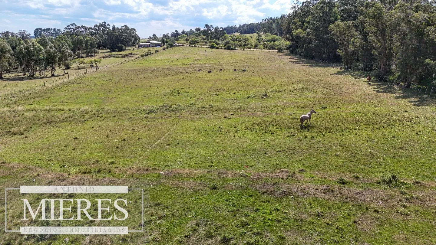 Chacra en venta de 5,6 ha con costa al arroyo José Ignacio — foto 19