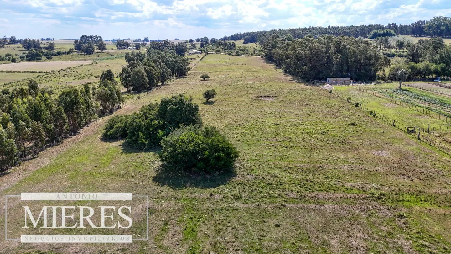 Chacra en venta de 5,6 ha con costa al arroyo José Ignacio — foto 21