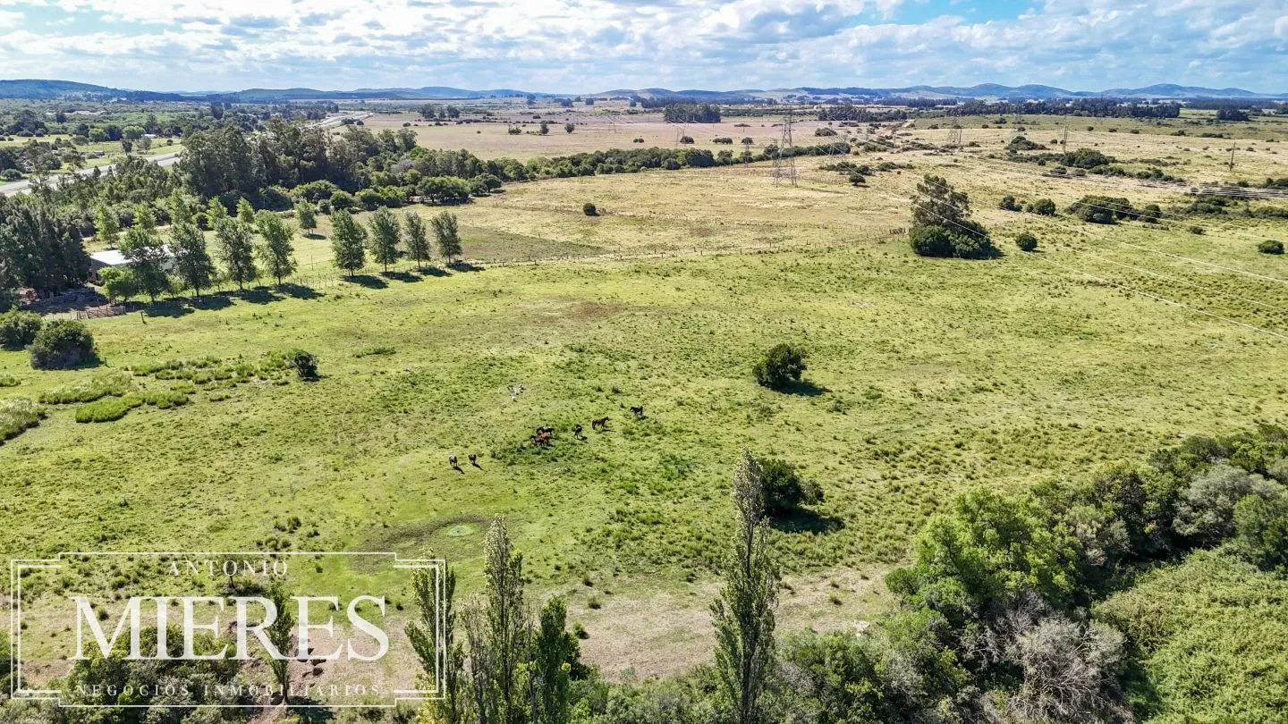 Chacra de 11ha sobre ruta 9 San Carlos — foto 4