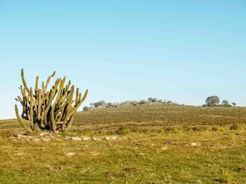 Chacras de 3ha en Maldonado con financiación — foto 5