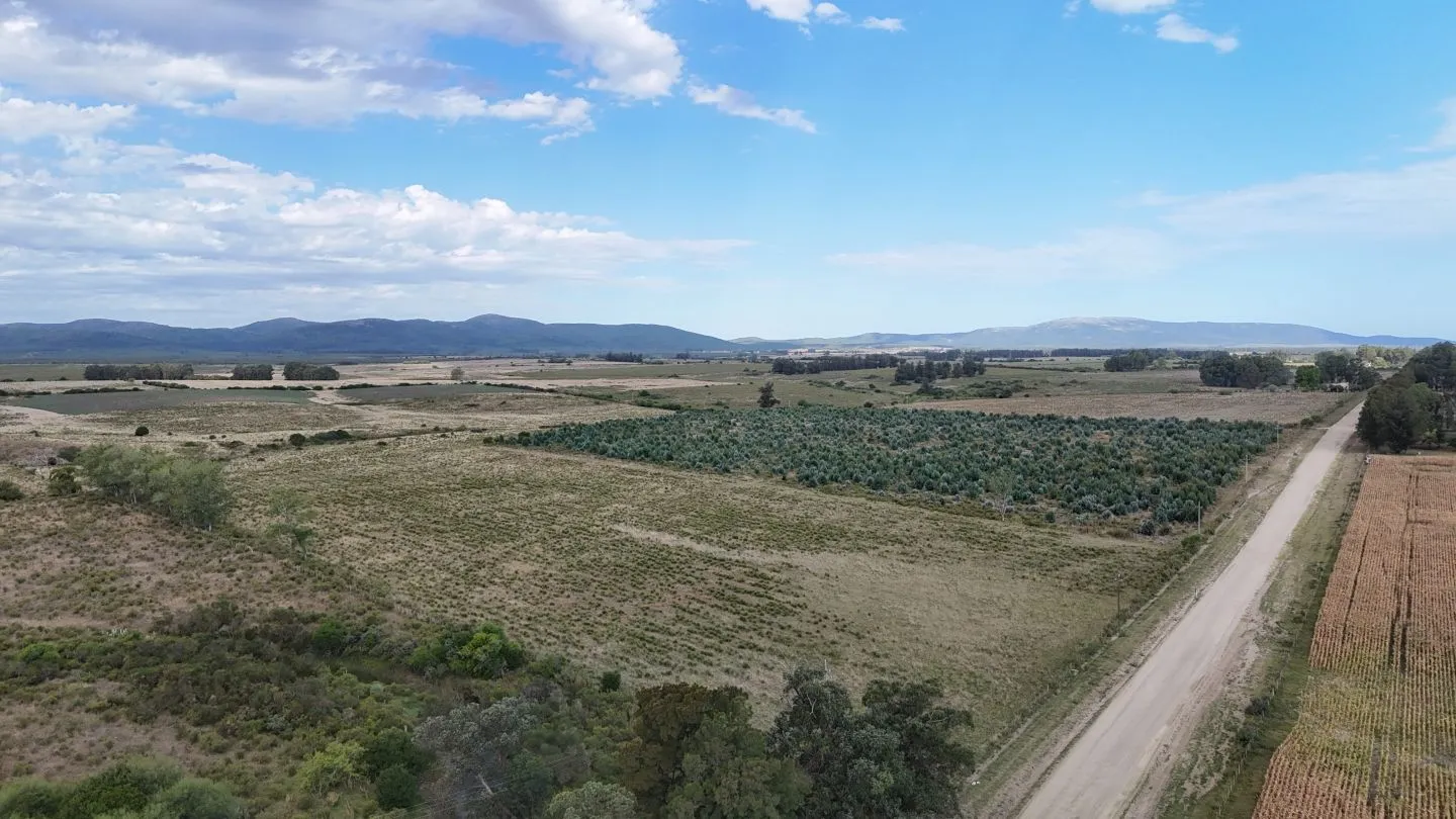 Campo en venta de 30 ha en Solís Grande, Maldonado Uruguay — foto 2