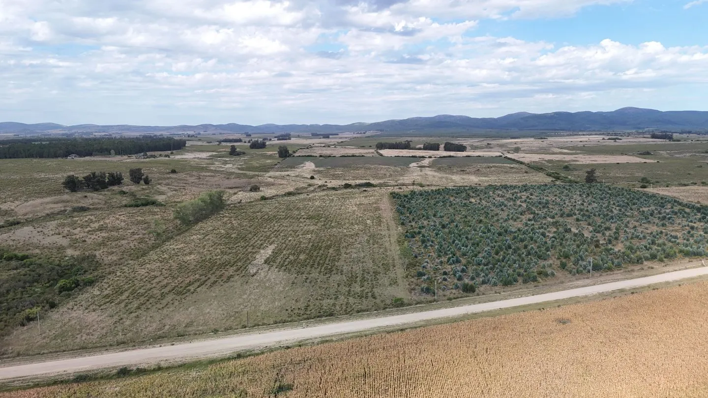 Campo en venta de 30 ha en Solís Grande, Maldonado Uruguay — foto 3