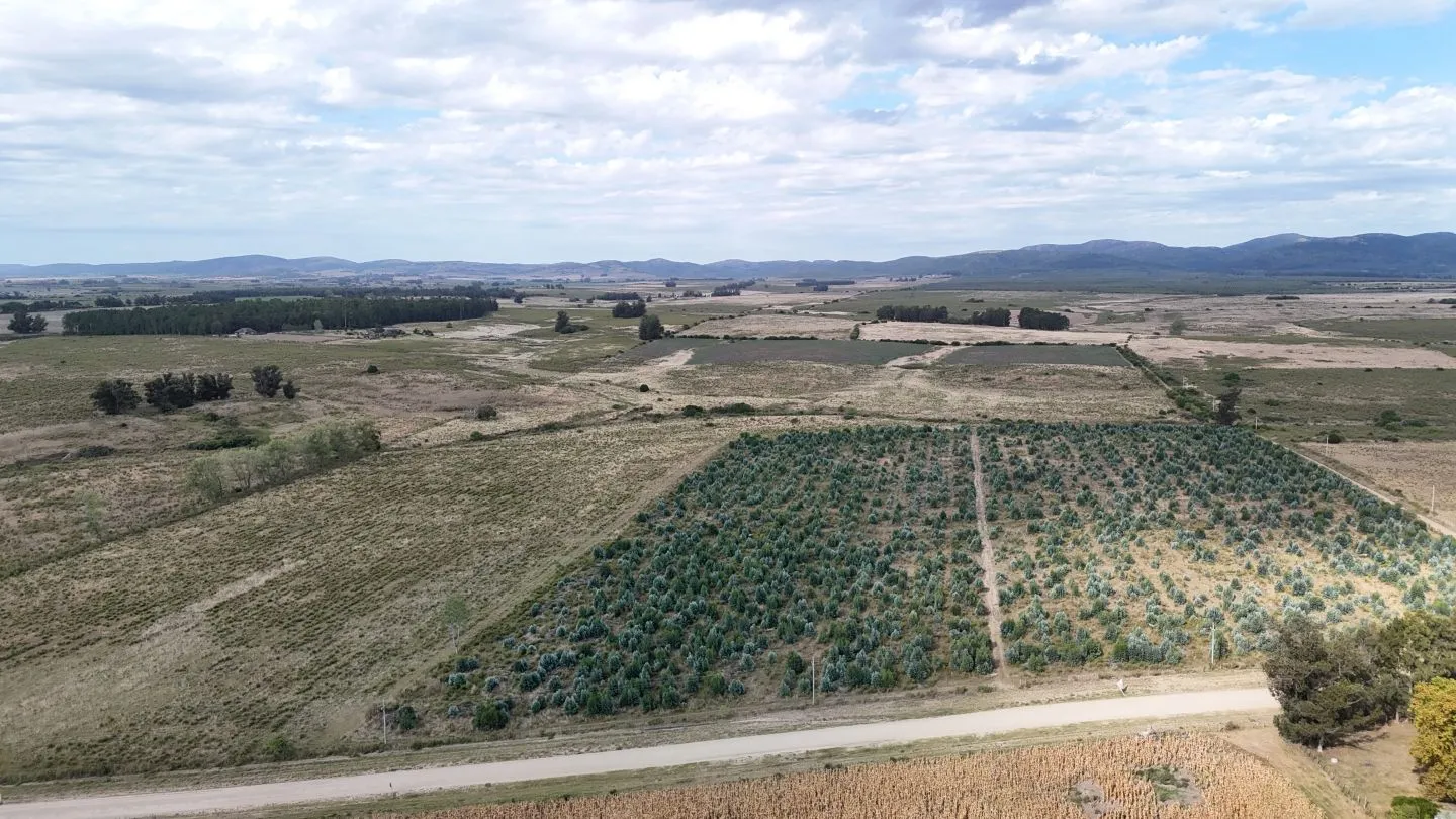 Campo en venta de 30 ha en Solís Grande, Maldonado Uruguay — foto 4