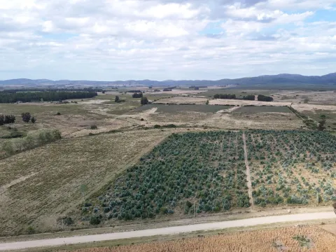 Campo en venta de 30 ha en Solís Grande, Maldonado Uruguay — foto 4
