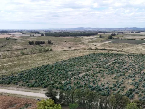 Campo en venta de 30 ha en Solís Grande, Maldonado Uruguay — foto 5
