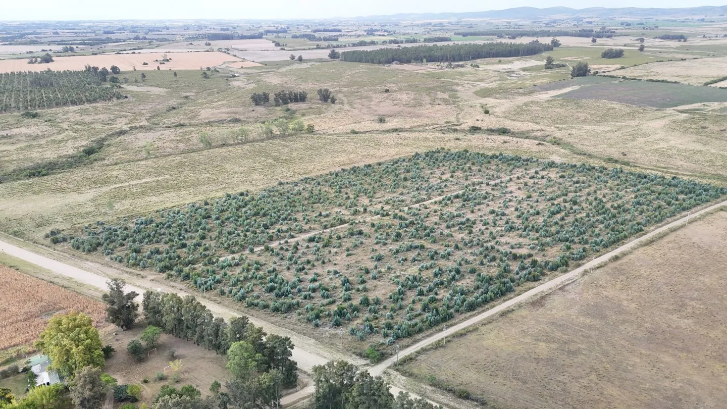 Campo en venta de 30 ha en Solís Grande, Maldonado Uruguay — foto 7