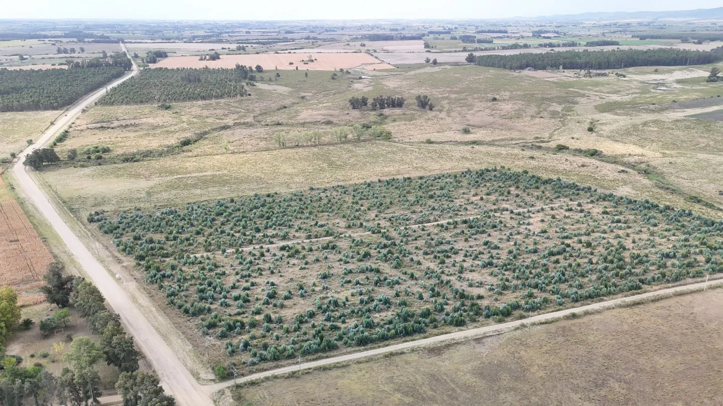 Campo en venta de 30 ha en Solís Grande, Maldonado Uruguay — foto 8