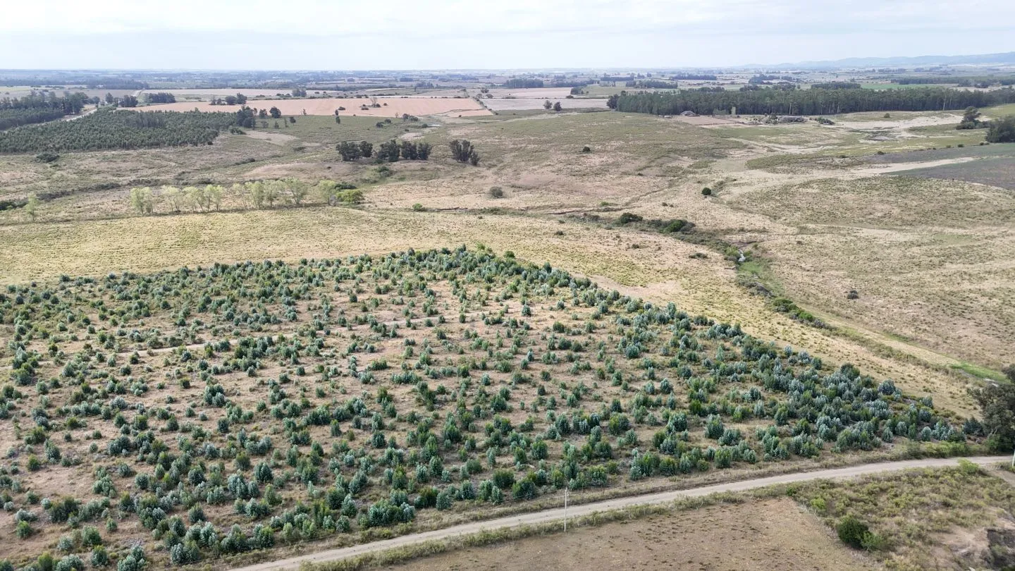 Campo en venta de 30 ha en Solís Grande, Maldonado Uruguay — foto 9
