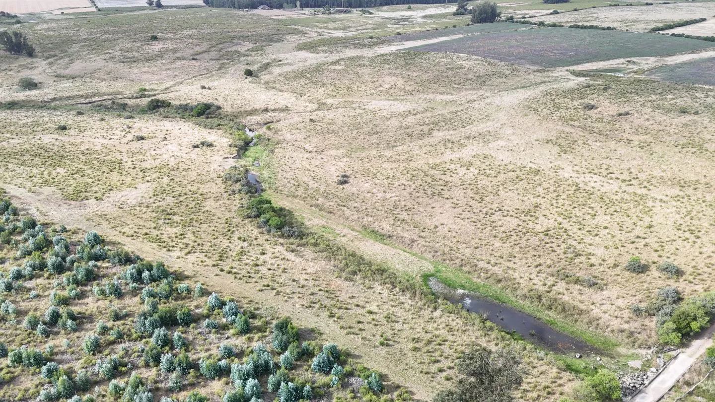Campo en venta de 30 ha en Solís Grande, Maldonado Uruguay — foto 10