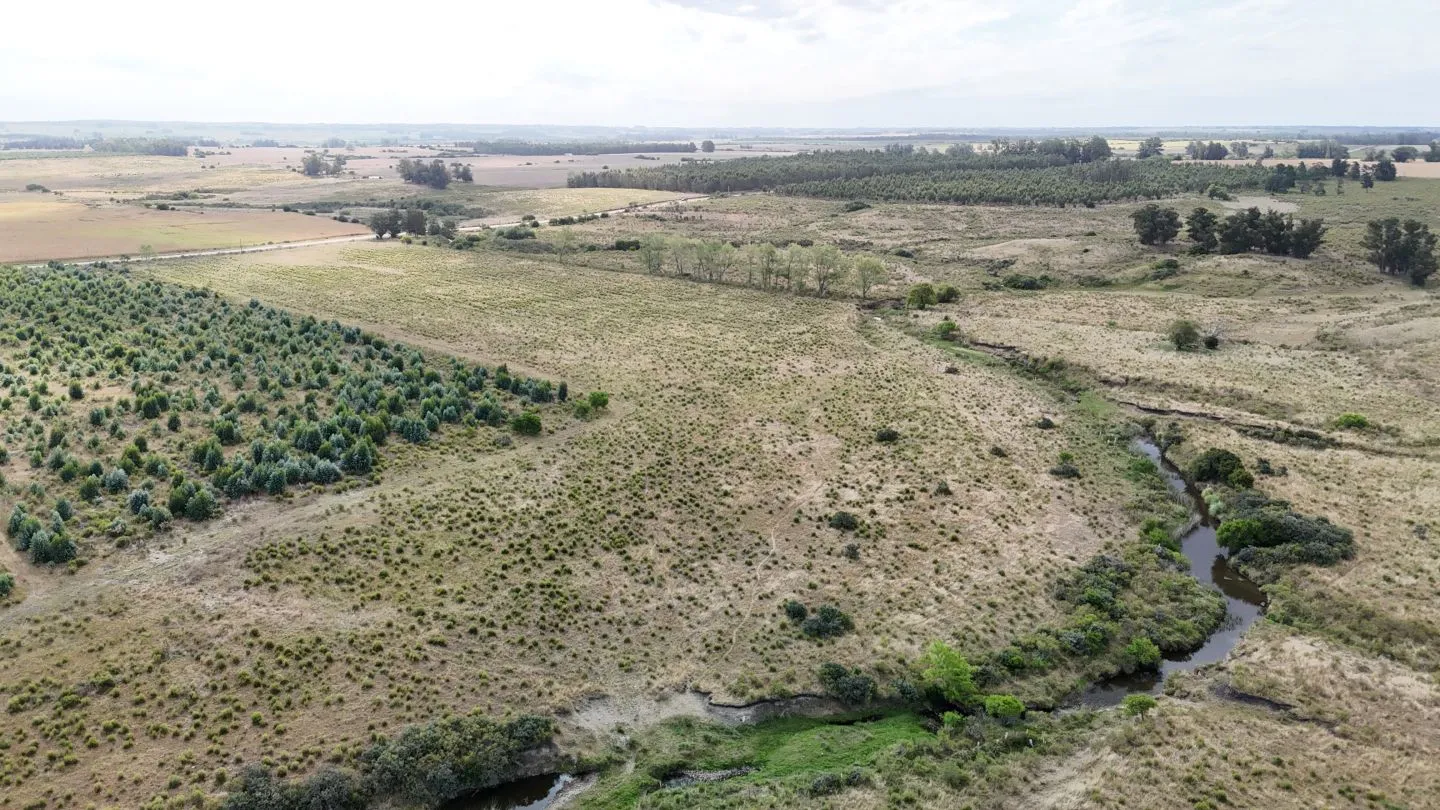 Campo en venta de 30 ha en Solís Grande, Maldonado Uruguay — foto 12