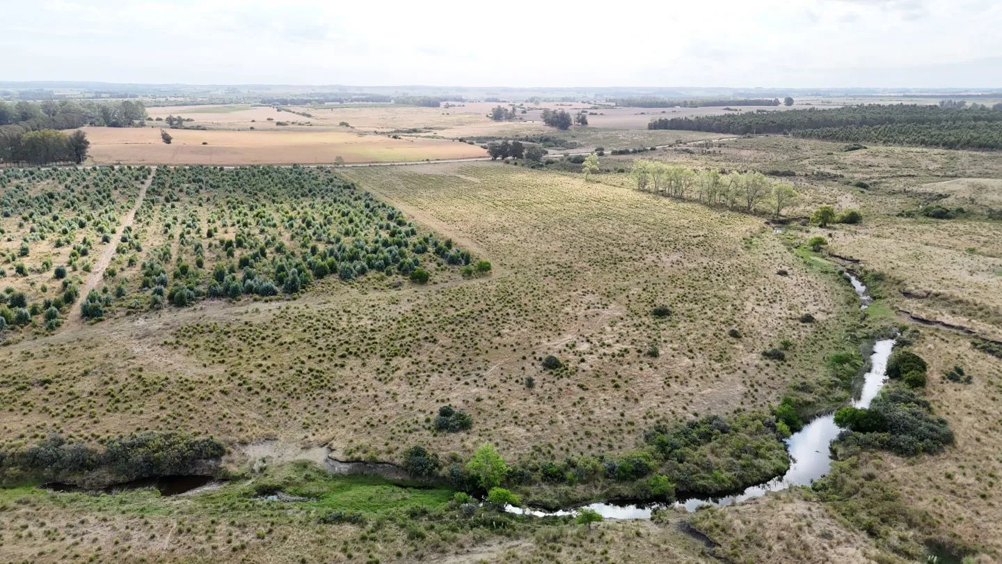 Campo en venta de 30 ha en Solís Grande, Maldonado Uruguay — foto 13