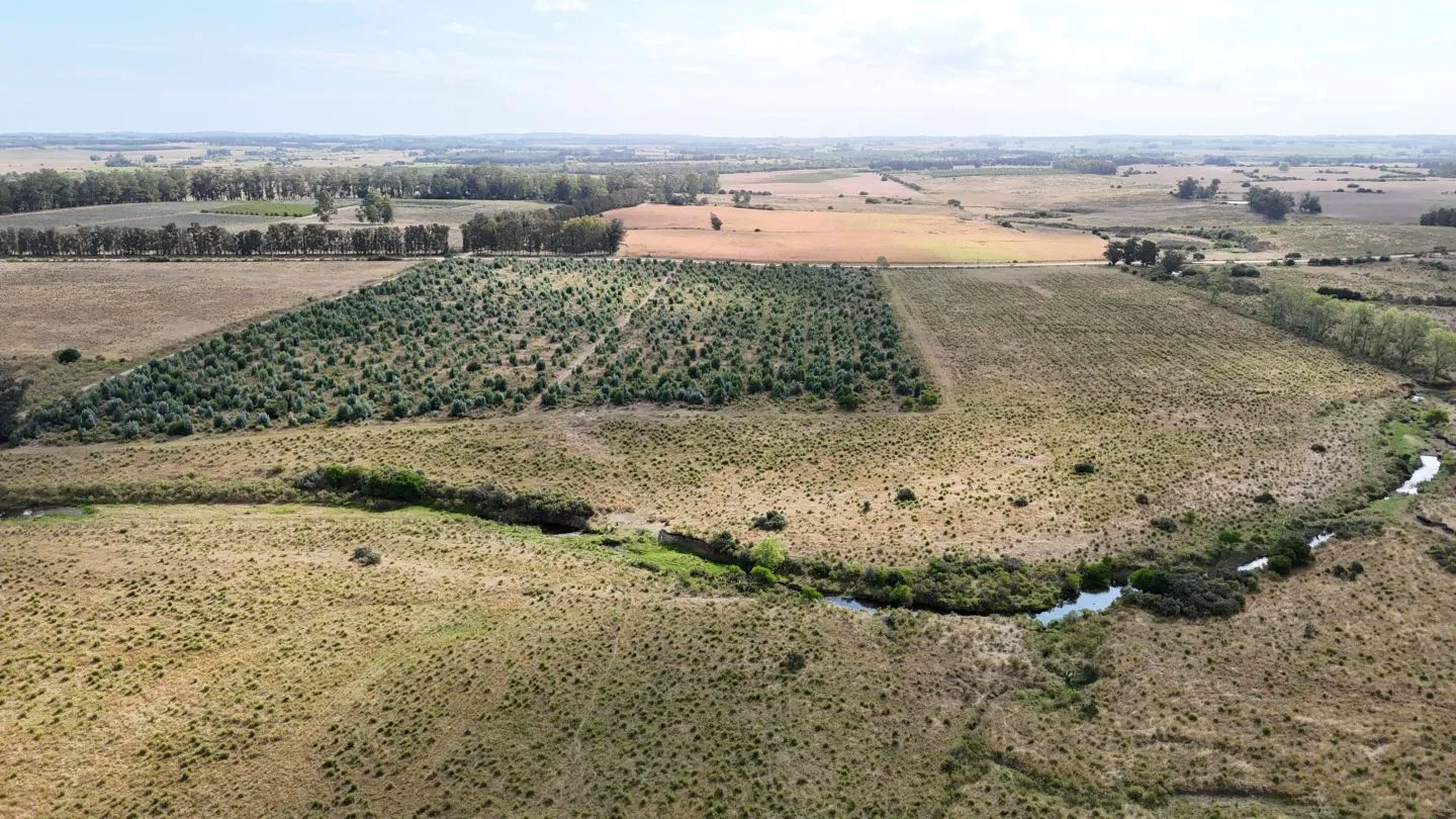 Campo en venta de 30 ha en Solís Grande, Maldonado Uruguay — foto 14