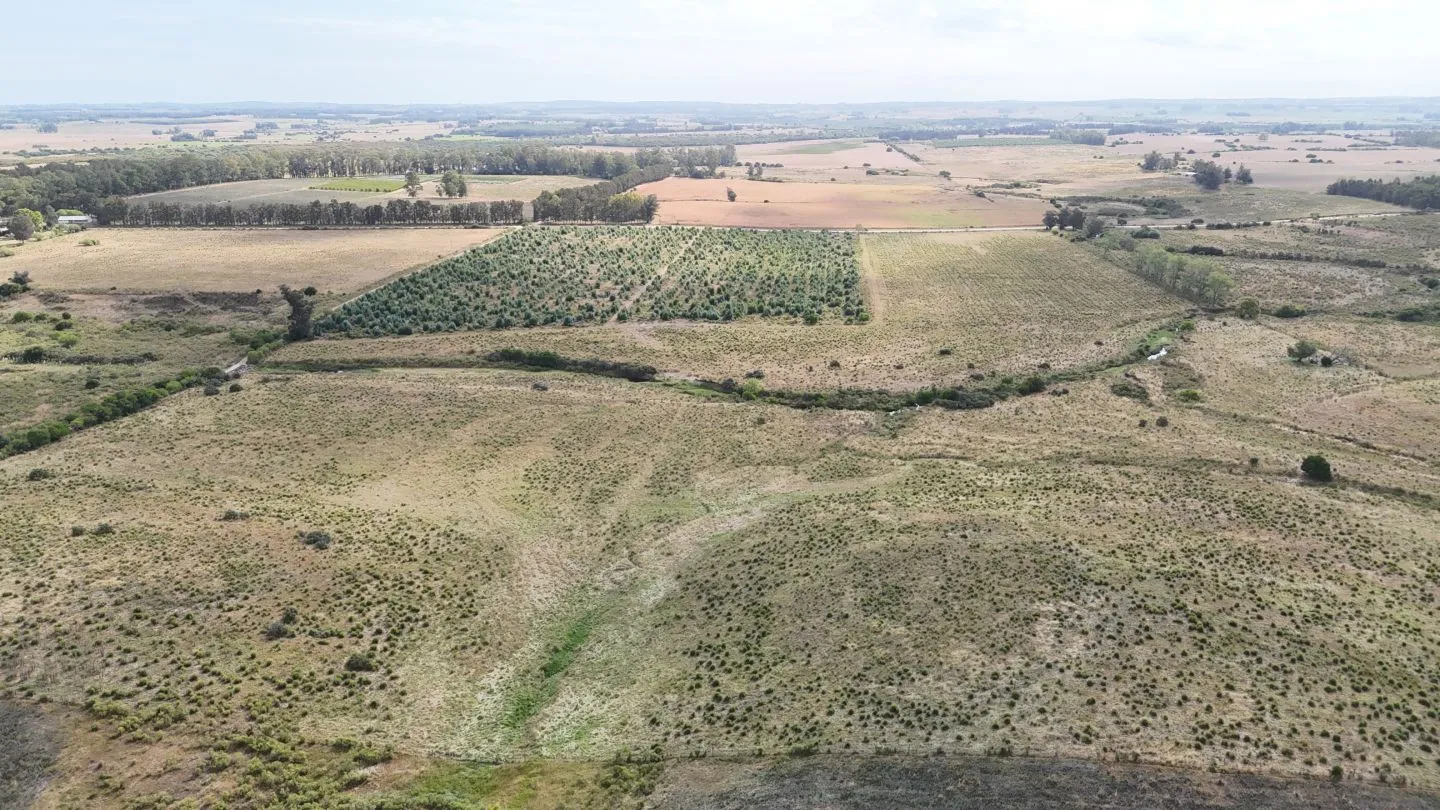Campo en venta de 30 ha en Solís Grande, Maldonado Uruguay — foto 15