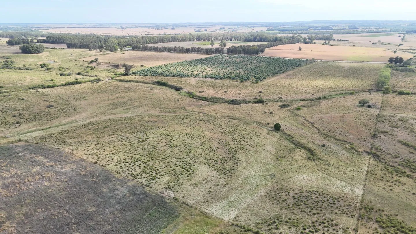 Campo en venta de 30 ha en Solís Grande, Maldonado Uruguay — foto 16