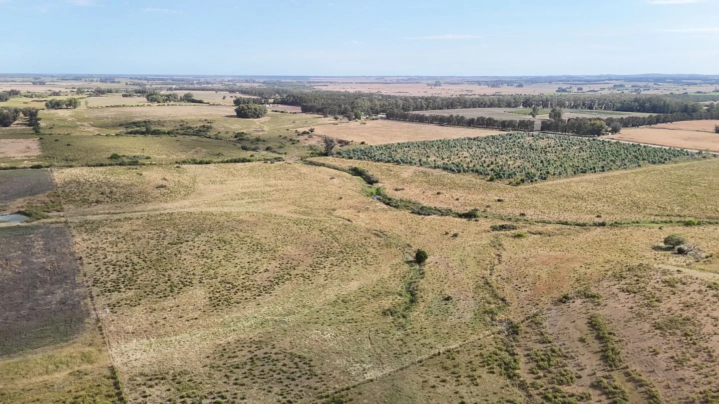 Campo en venta de 30 ha en Solís Grande, Maldonado Uruguay — foto 17