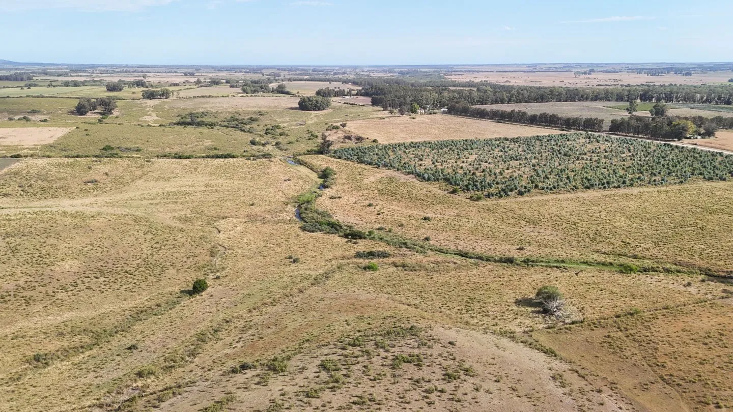 Campo en venta de 30 ha en Solís Grande, Maldonado Uruguay — foto 18