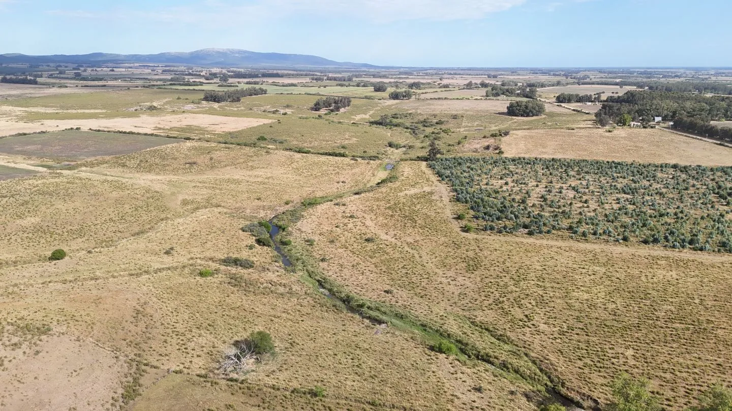 Campo en venta de 30 ha en Solís Grande, Maldonado Uruguay — foto 19