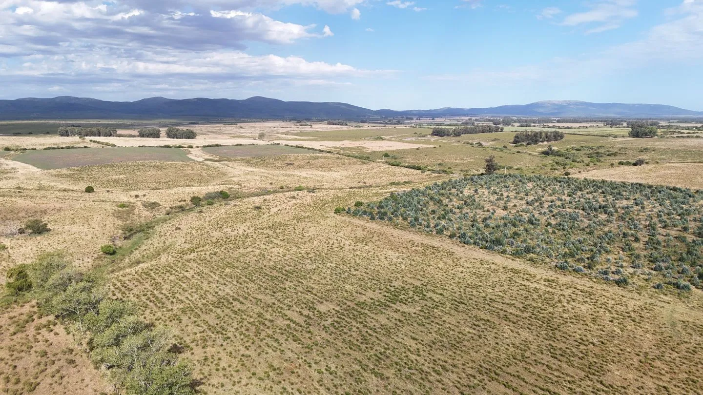 Campo en venta de 30 ha en Solís Grande, Maldonado Uruguay — foto 20