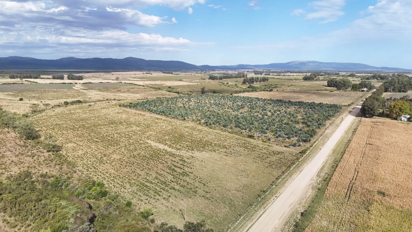 Campo en venta de 30 ha en Solís Grande, Maldonado Uruguay — foto 21
