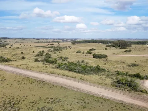 Campo en venta de 30 ha Garzón, Uruguay.
