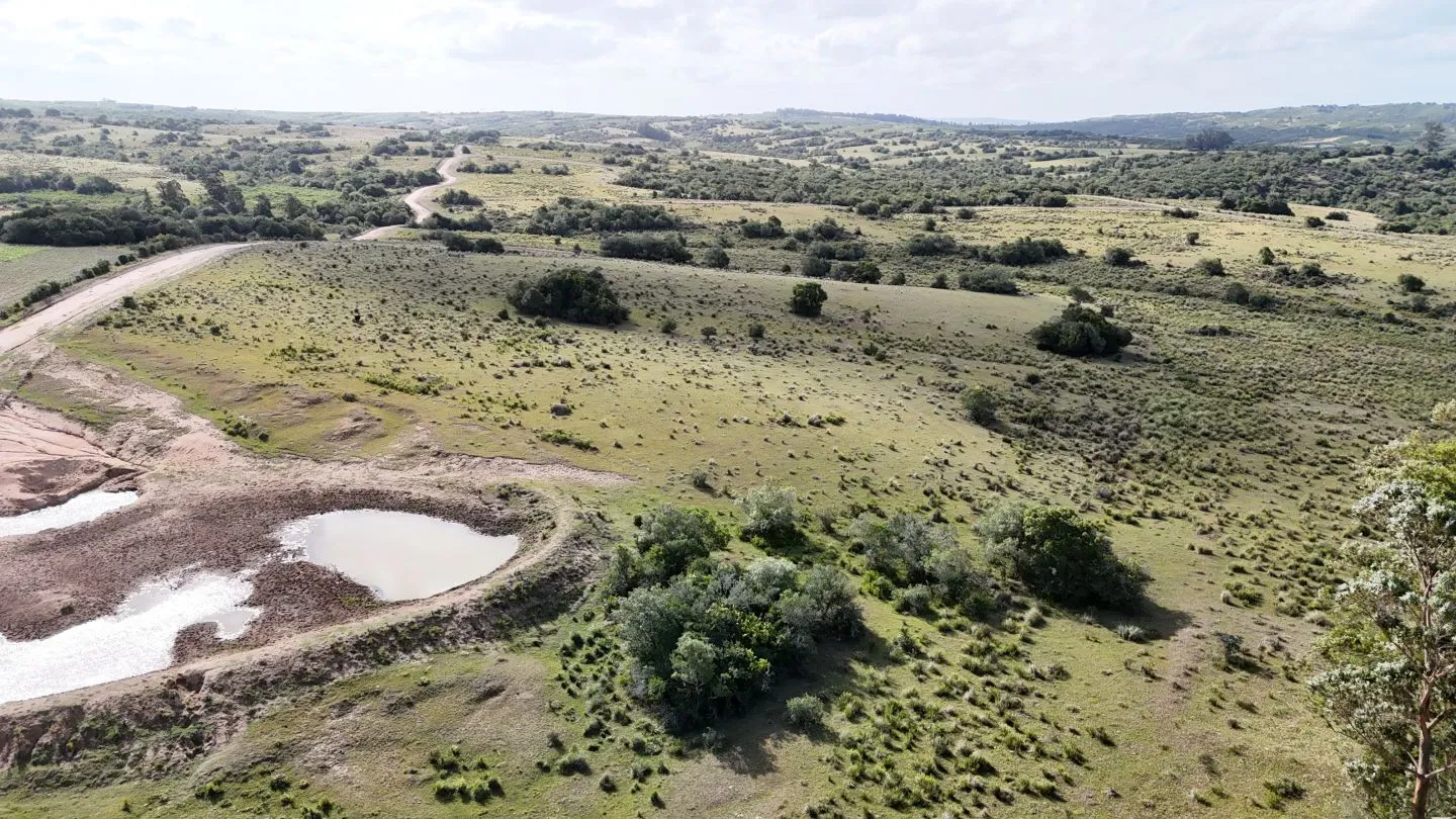 Campo en venta de 30 ha Garzón, Uruguay. — foto 2