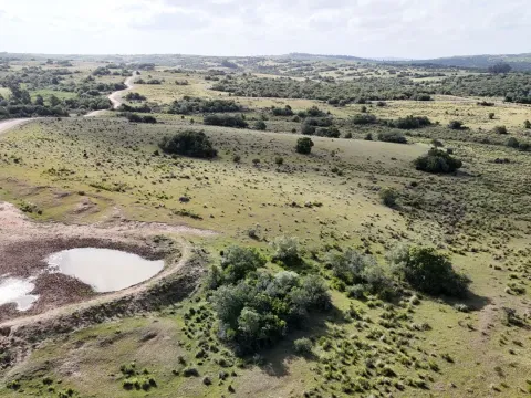 Campo en venta de 30 ha Garzón, Uruguay. — foto 2