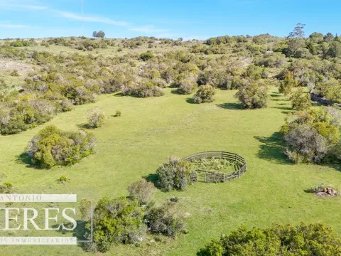 Chacra de 12ha con casa en las sierras de Maldonado ruta 39 — foto 4