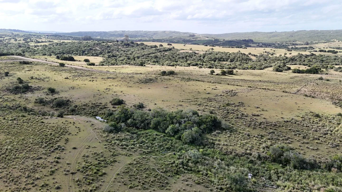 Campo en venta de 30 ha Garzón, Uruguay. — foto 3