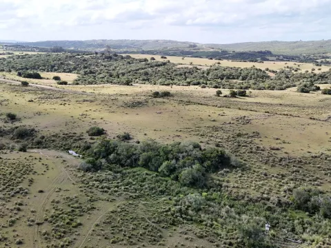 Campo en venta de 30 ha Garzón, Uruguay. — foto 3