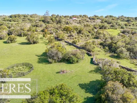 Chacra de 12ha con casa en las sierras de Maldonado ruta 39 — foto 5