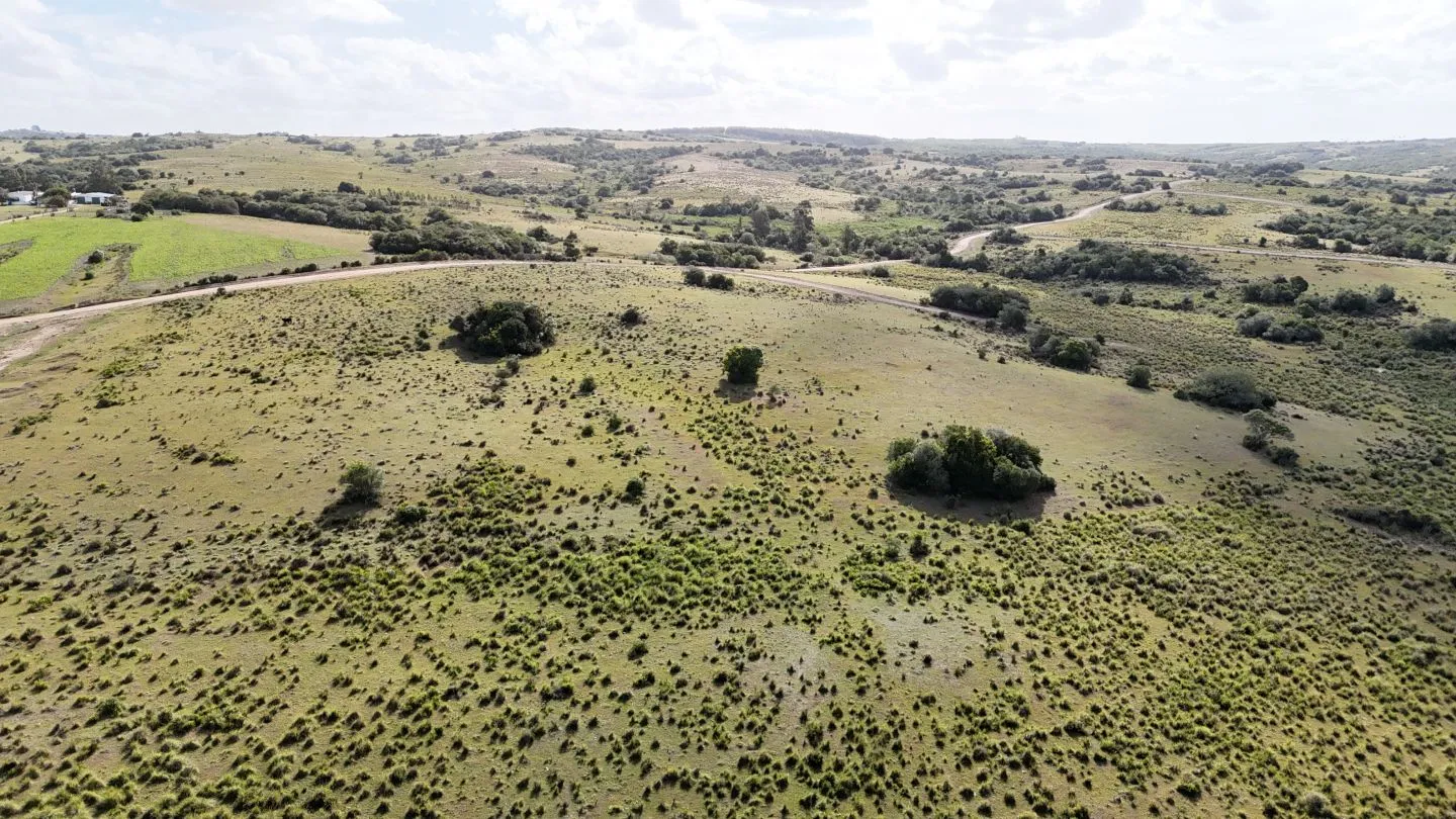 Campo en venta de 30 ha Garzón, Uruguay. — foto 4