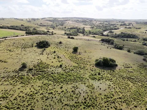 Campo en venta de 30 ha Garzón, Uruguay. — foto 4