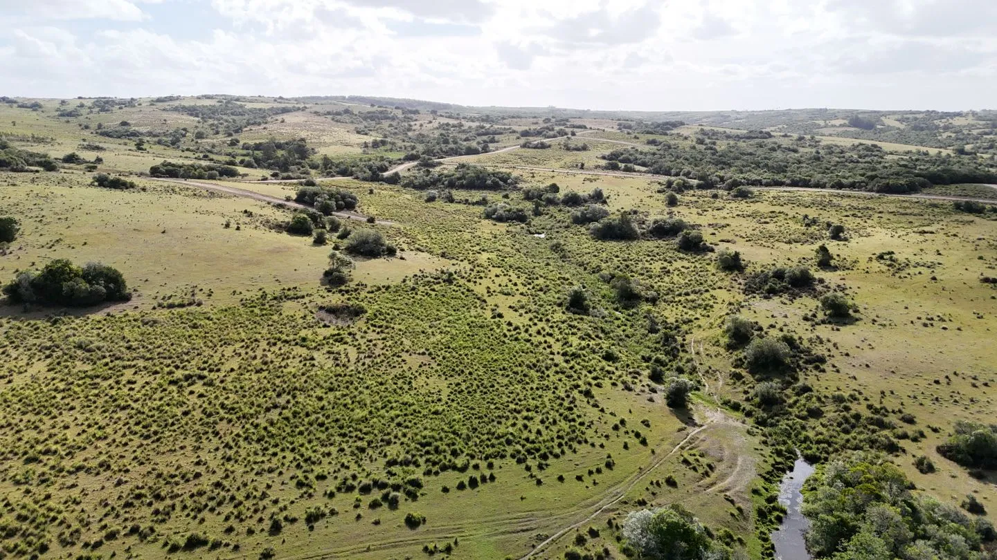 Campo en venta de 30 ha Garzón, Uruguay. — foto 5