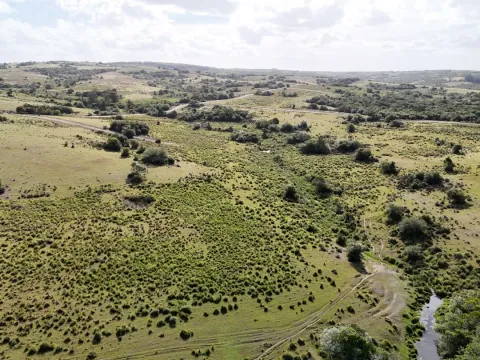 Campo en venta de 30 ha Garzón, Uruguay. — foto 5