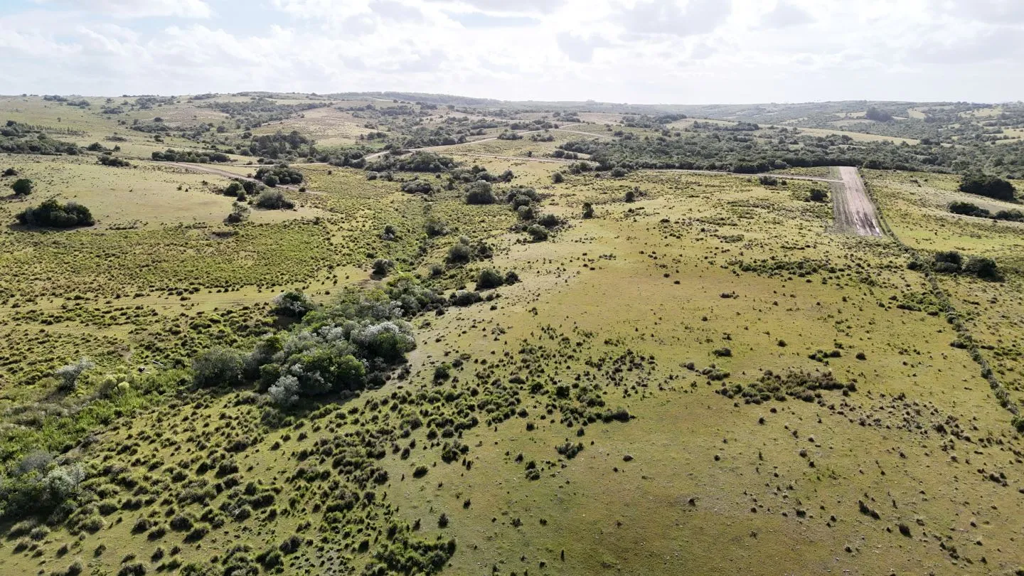 Campo en venta de 30 ha Garzón, Uruguay. — foto 6