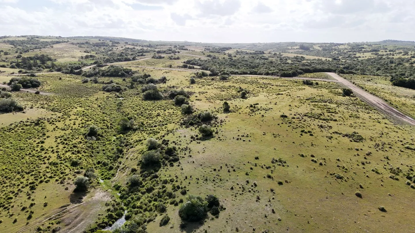 Campo en venta de 30 ha Garzón, Uruguay. — foto 7
