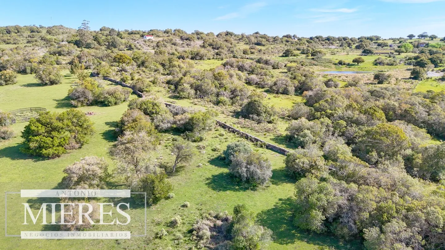 Chacra de 12ha con casa en las sierras de Maldonado ruta 39 — foto 9