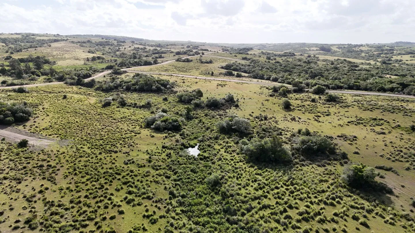 Campo en venta de 30 ha Garzón, Uruguay. — foto 8