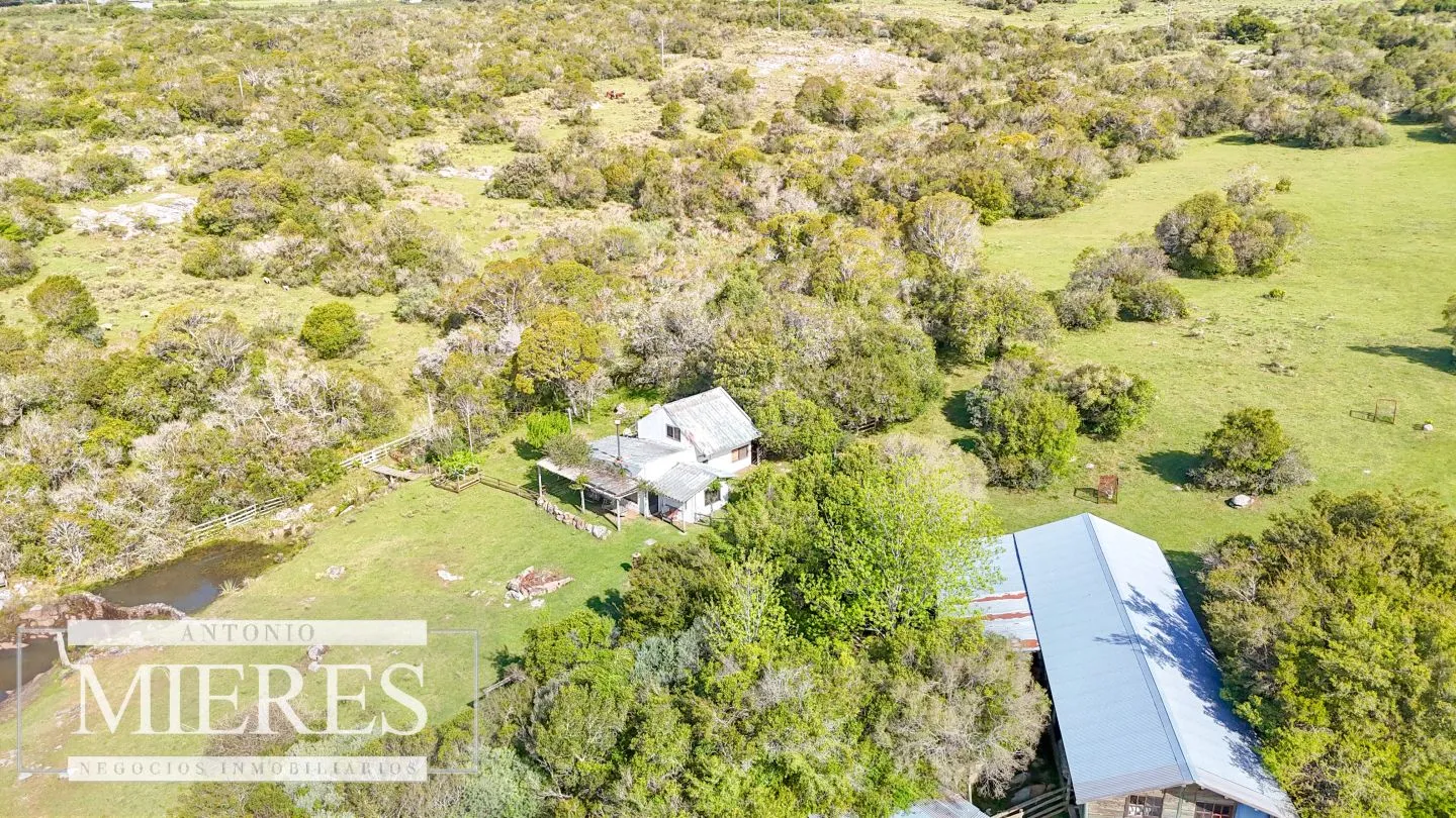 Chacra de 12ha con casa en las sierras de Maldonado ruta 39 — foto 11
