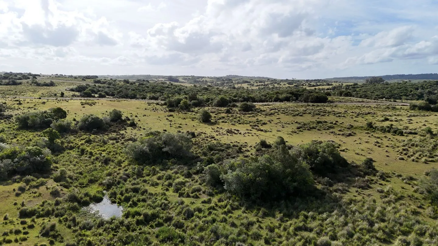 Campo en venta de 30 ha Garzón, Uruguay. — foto 9