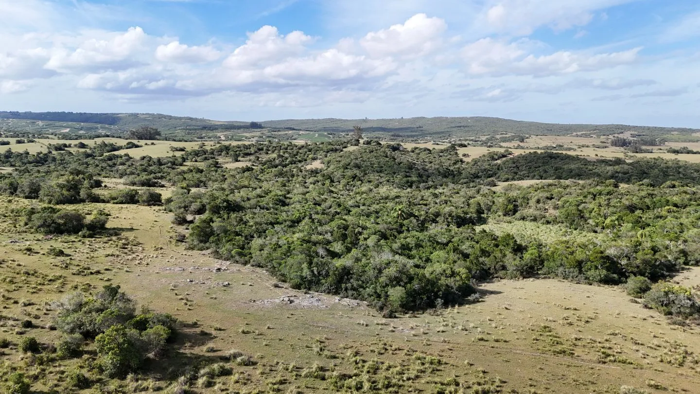 Campo en venta de 30 ha Garzón, Uruguay. — foto 10