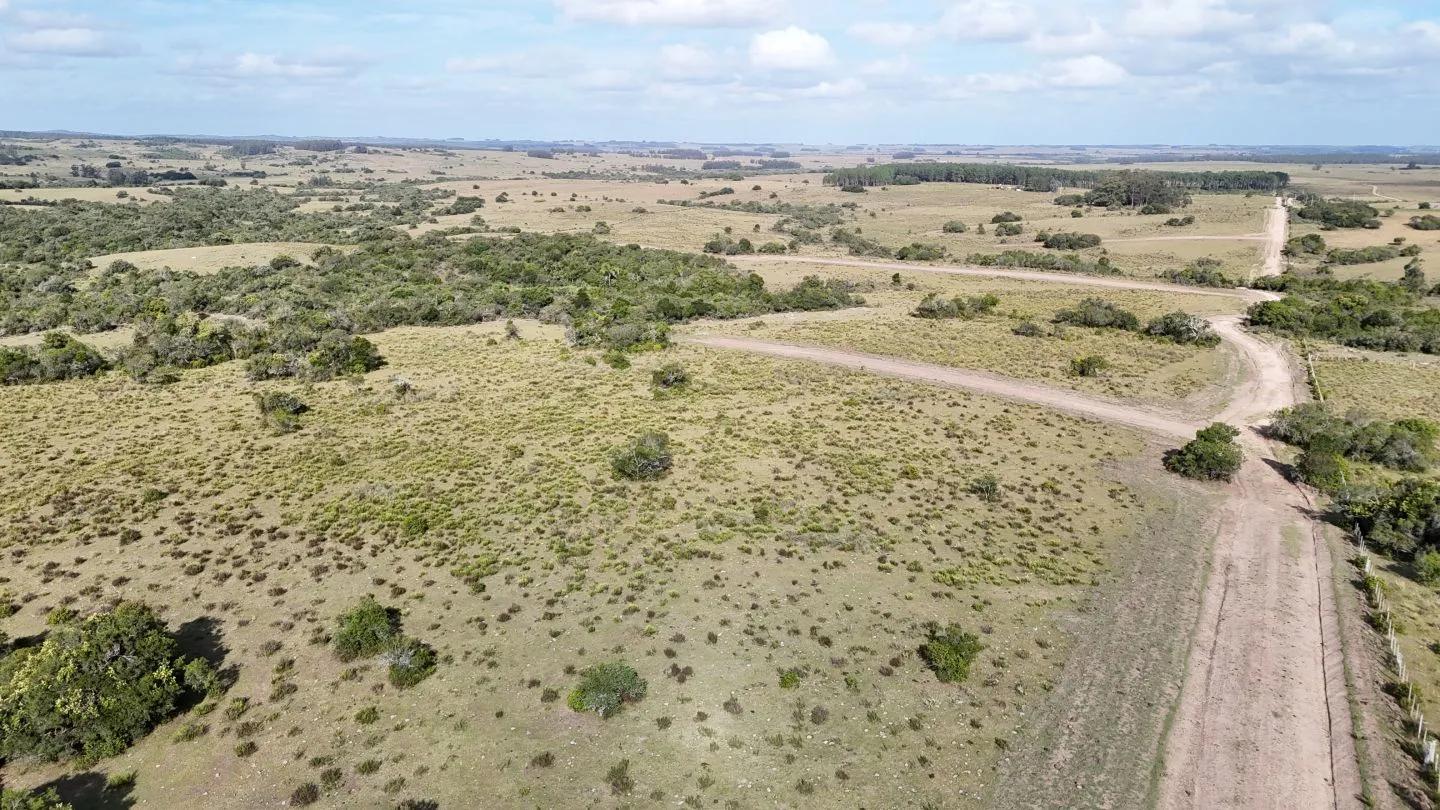 Campo en venta de 30 ha Garzón, Uruguay. — foto 11