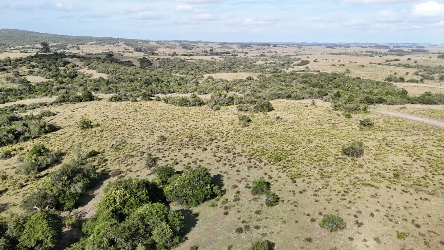 Campo en venta de 30 ha Garzón, Uruguay. — foto 12
