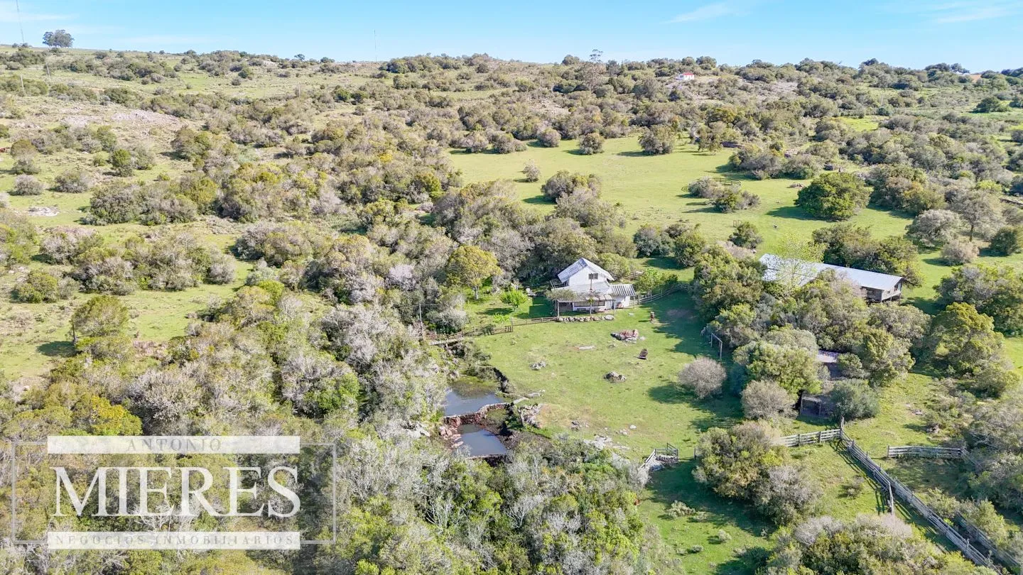 Chacra de 12ha con casa en las sierras de Maldonado ruta 39 — foto 15