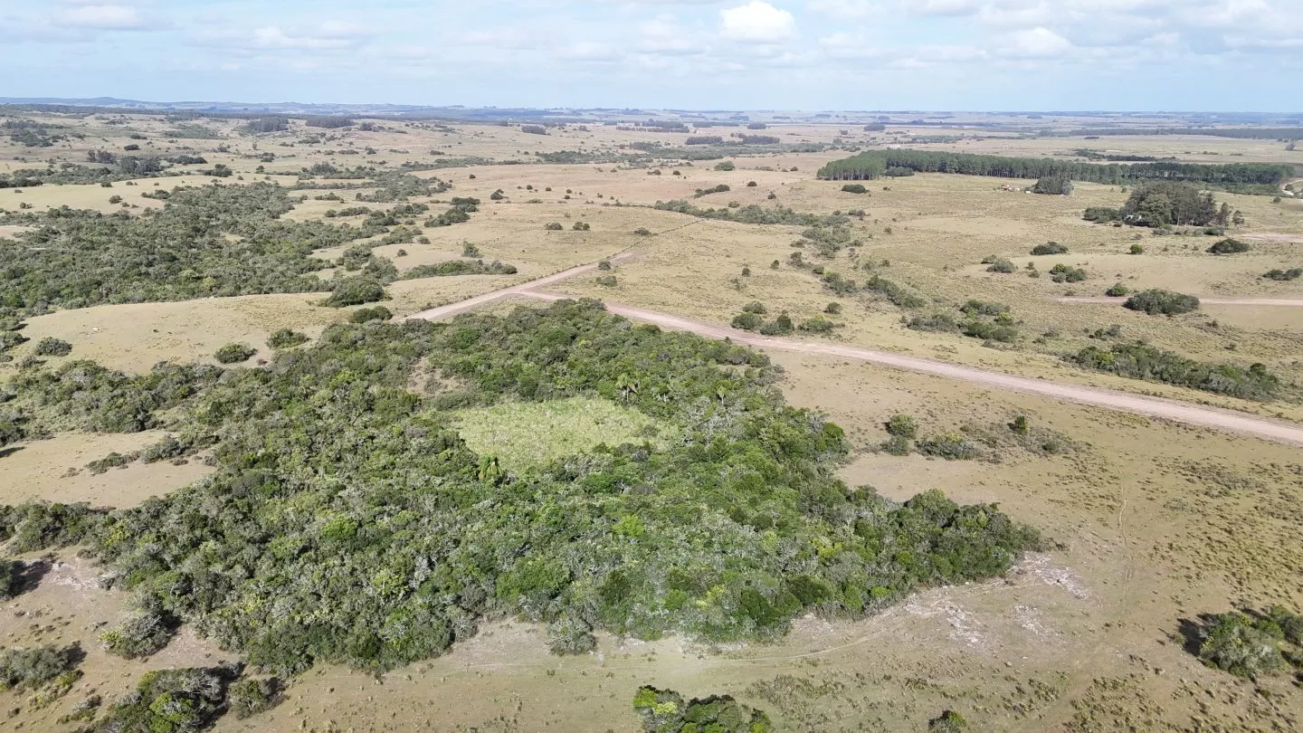 Campo en venta de 30 ha Garzón, Uruguay. — foto 13