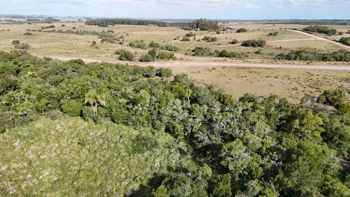 Campo en venta de 30 ha Garzón, Uruguay. — foto 14